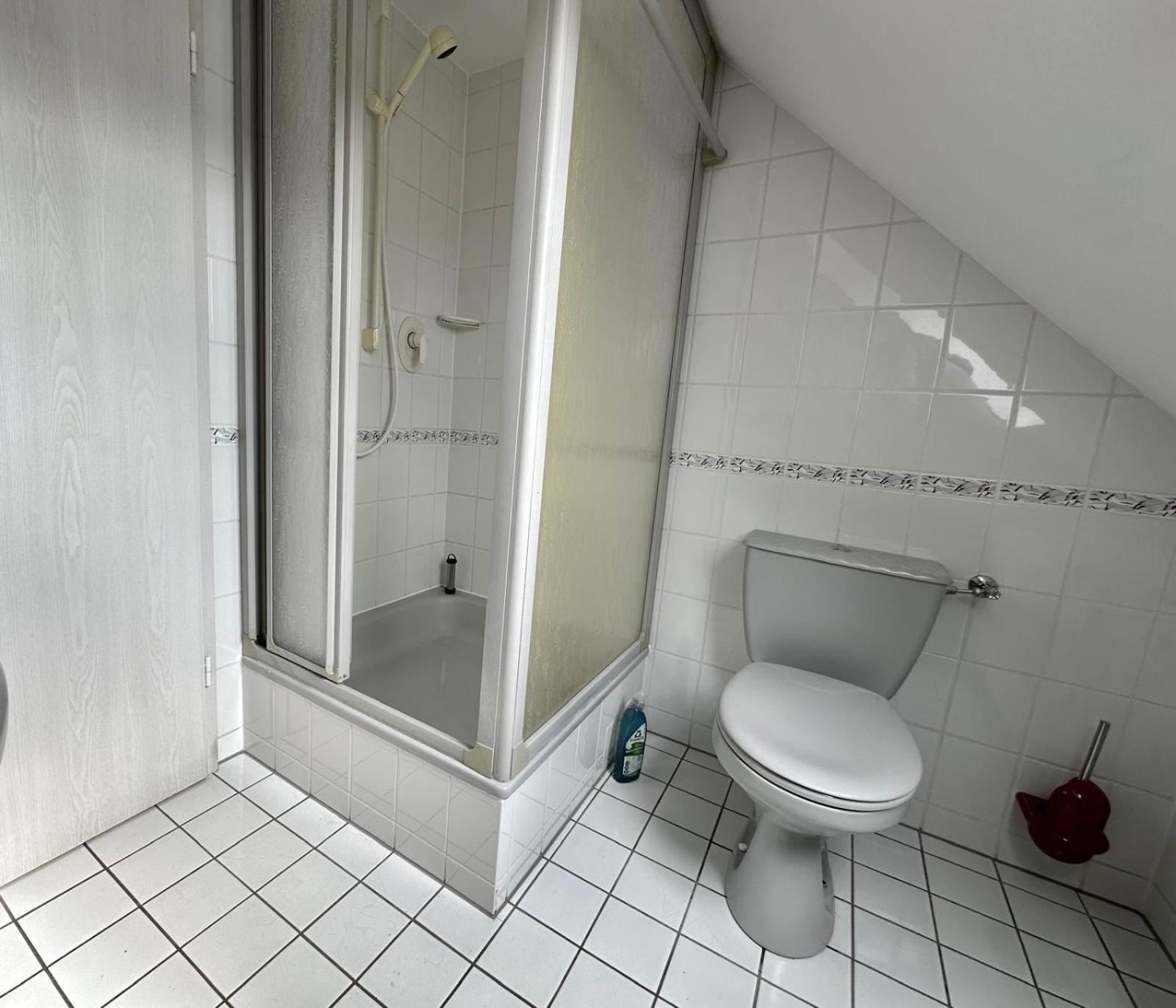 Ferienwohnung Sonnenschein Mit Kleinem Bauernhof Thale Exterior foto